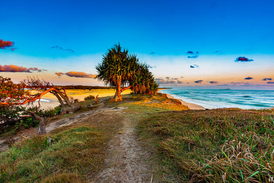 Sunrise, Pincushion Island, Buddina, QLD