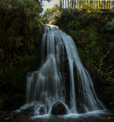waterfall in the forest