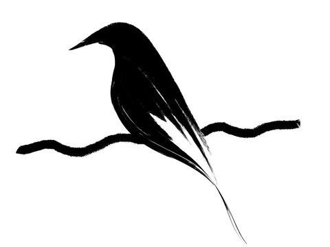 recommend clip art: Black crow silhouette animal isolated on white background illustration