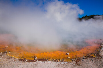 Rotorua Wai-o-Tapu Champaign pool weird and unique landscape, geothermal activity, volcanic landforms, hot pools and lakes North Island New Zealand