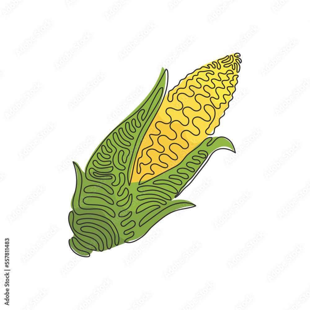 Poster single continuous line drawing husked cobs of sweet corn. fresh vegetable with high sugar content. i