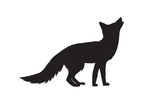 Red Fox silhouette vector isolated. Omnivorous mammal or wild animal.