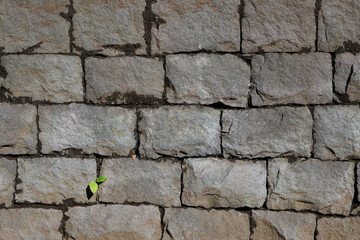 石垣　背景素材