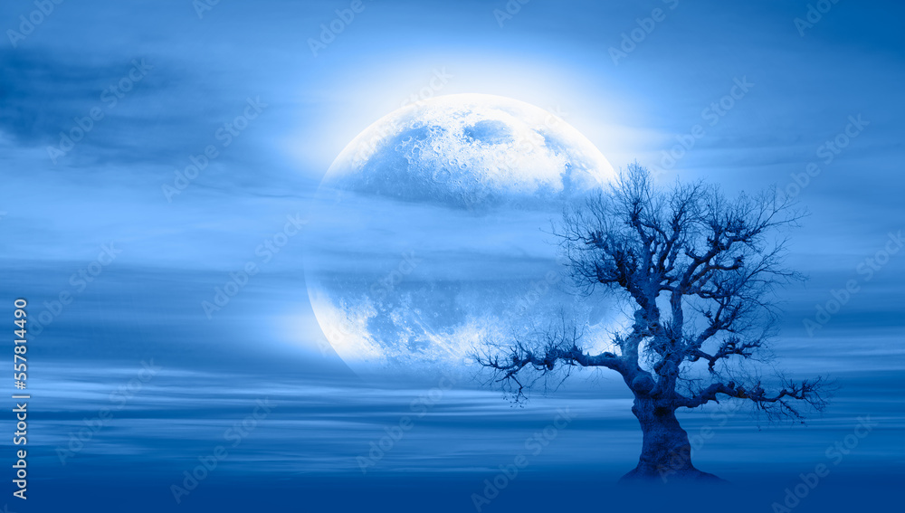 Poster a scary looking dry and lonely tree in fog and full moon in background 