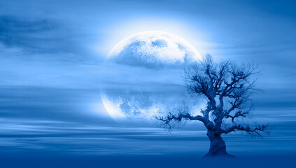 A scary looking dry and lonely tree in fog and full moon in background "Elements of this Image Furnished by NASA"