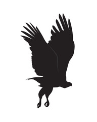 American bald eagle in flight silhouette vector. Attacking eagle.