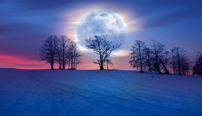 Beautiful winter landscape with dead trees and shadows on the snow and Super full moon - Baikal...