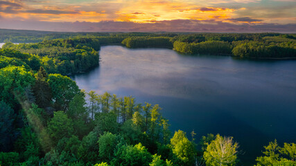 Naklejka premium Tranquil panoramic rural landscape scenery in an early summer morning after sunrise, with a tree on green meadows and colorful clouds in the gold and blue sky 