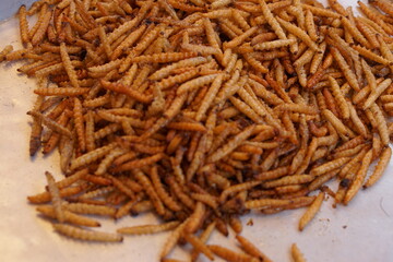Thai Food Fried Bamboo Caterpillar