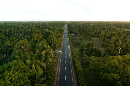 Beautiful drone shots of Point Peddro to Kodikakamam road, Jaffna, Northern Province, Sri Lanka.