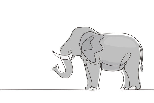 recommend clip art: Single one line drawing African elephant. Wild animal. Big cute elephant company logo identity. African zoo animal icon concept. Modern continuous line draw design graphic vector illustration