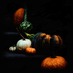 various kinds of pumpkins