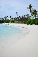Maldives island landscape. Water, sand and greenery. Lush, tropical, vegetation, palm trees and bushes. Shoreline with sandy beach. Wooden pathway pier. Walkway deck to private villas. Floating house
