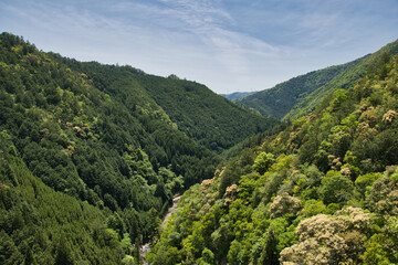 Fototapeta na wymiar A view of the valley where the Kiyotaki-River runs. Kyoto Japan 