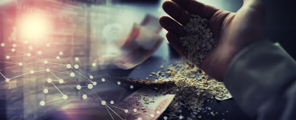 The concept of the cost of grain. 5000 ruble banknotes around a handful of ground grain. World...