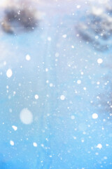 Blurred snow background. Winter landscape. Trees and plants covered with snow.