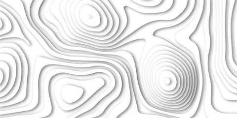 Abstract white paper cut shapes background with shadow and topography map concept, texture. Abstract realistic Papercut decoration background. Abstract papercut wavy line background.