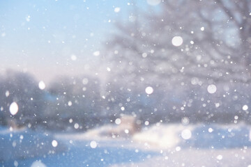 Blurred snow background. Winter landscape. Trees and plants covered with snow.