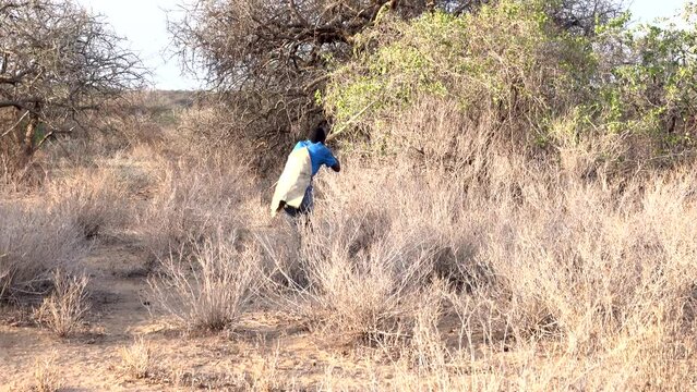 Hadza indigenous hunter shooting a bird, South Africa
Lake Eyasi, Tanzania, October,19,2022
