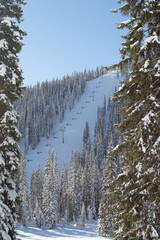 chairlift through the trees in winter