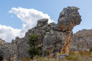 Fototapeta na wymiar Rock formation looking like Donald Trump in the Western Cape of South Africa