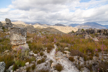 Stony landscape near Tulbagh in the Western Cape of South Africa, taken during a hike in the mountains