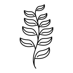 hand drawn lines floral