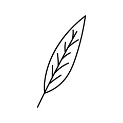 leaf decorative illustration
