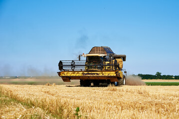 Combine harvester harvesting golden wheat field, harvester working in an agricultural field,...