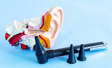 anatomical ear model and medical device used to check the ears, otoscope.