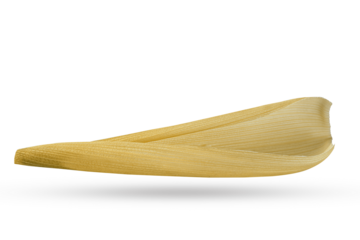 A dried corn husk isolated on white background