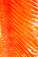 Salmon red fish fillet as a background.