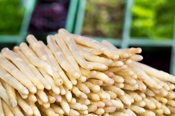Fresh white asparagus on a local marketplace with regional organic food