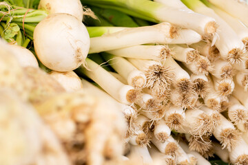 Fresh organic leek for sale on a local marketplace