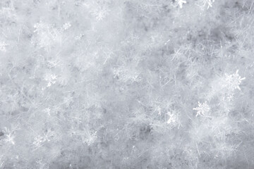 White snowflakes in winter as a background.