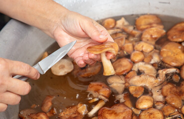 Cleaning mushrooms with a knife.