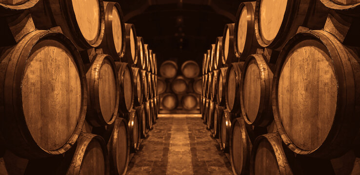 Wine or cognac barrels in the cellar of the winery, Wooden wine barrels in perspective. wine vaults. vintage oak barrels of craft beer or brandy