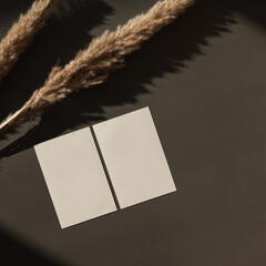 Blank paper sheet cards with mockup copy space, dry pampas grass stems and sunlight shadows on dark...