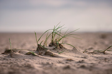 Wattenmeer Sankt Peter-Ording