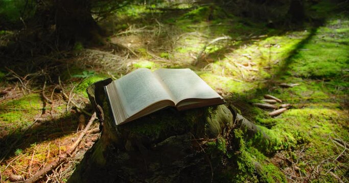 Wind turns the pages of an open book with light flare on green forest nature background. Mysterious printed book with a magical story. Learning is light and ignorance is darkness.