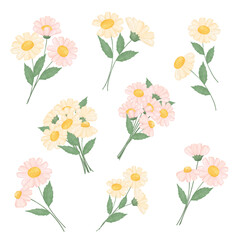 cute watercolour pink and white cream daisy flowers with green leaf collection hand draw illustration vector