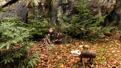 squirrel in the forest