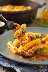 Traditional Korean Tteokbokki rice noodles with chicken, vegetables and shitake mushrooms. Prepared in a pan.
