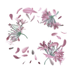 Pretty floral frame with flying pastel pink flowers and petals, isolated