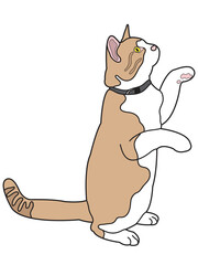 Cat in a flat design on a white background.