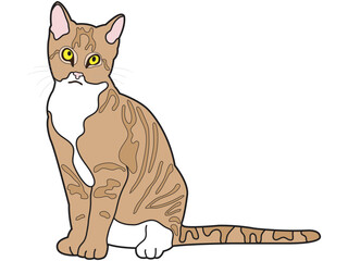 Cat in a flat design on a white background.