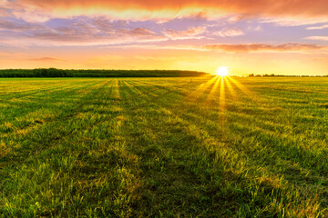 Scenic view at beautiful spring sunset in a green shiny field with green grass and golden sun rays, cloudy sky on a background, forest and country road, summer valley landscape