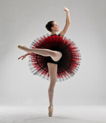 Female ballet dancer with ballet shoes and tutu isolated