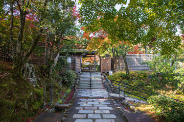 Fototapeta na wymiar Autumn leaves at Adashino Nenbutsu-ji temple, Kyoto, Japan