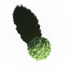 tree with a shadow under it, top view, isolated on white background, 3D illustration, cg render